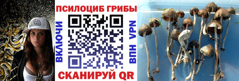 Галлюциногенные грибы прущие грибы  хочу   Руза 